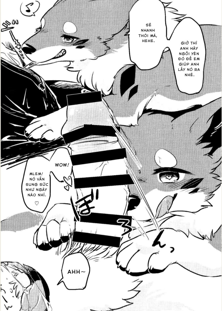 Kitsuneinu ni Nomaso 