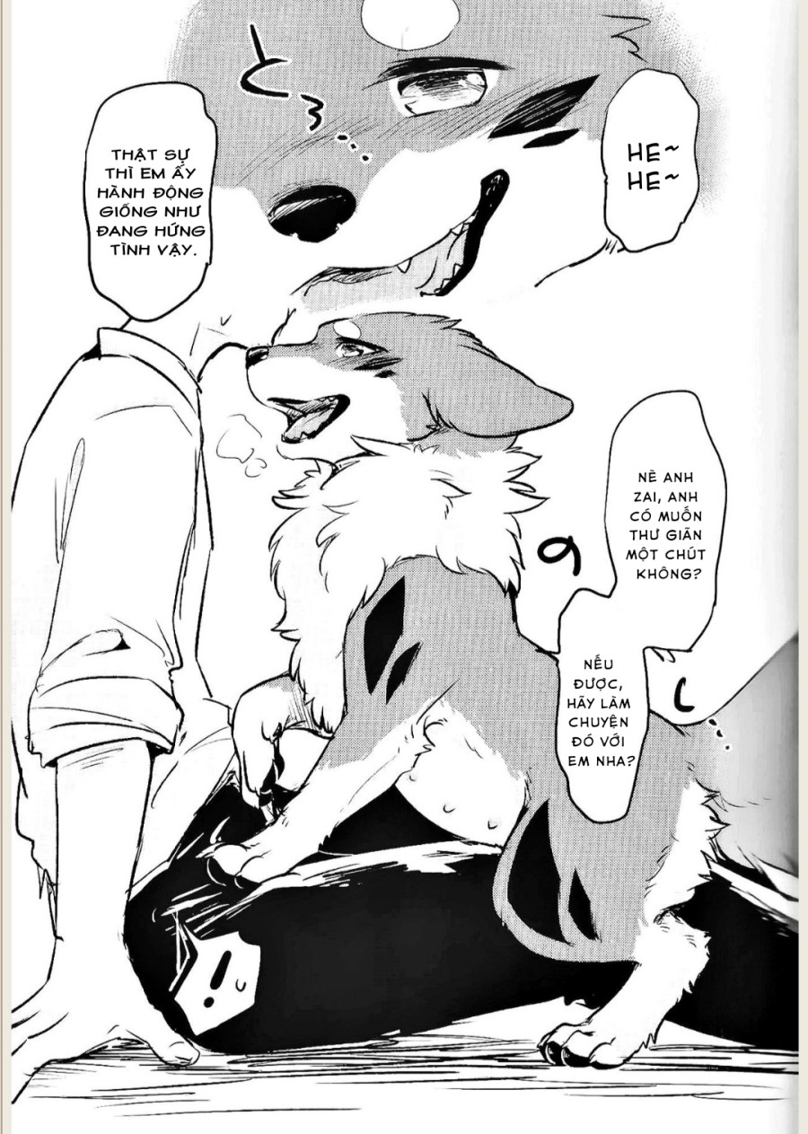 Kitsuneinu ni Nomaso 