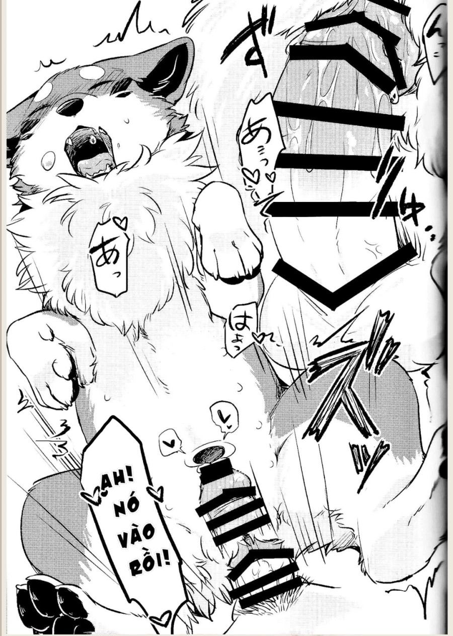 Kitsuneinu ni Nomaso 