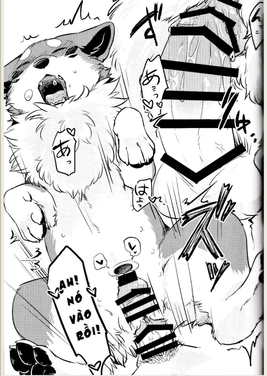 Kitsuneinu ni Nomaso 