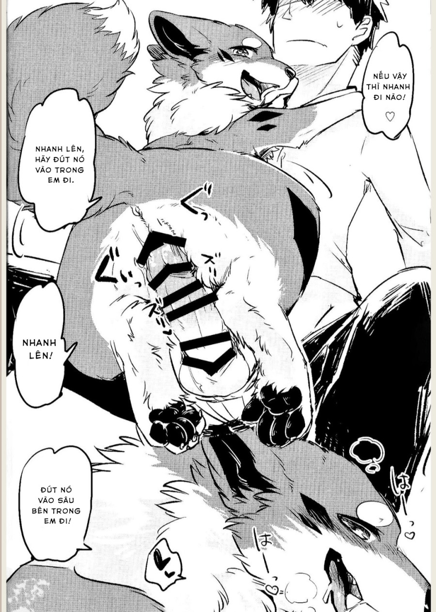 Kitsuneinu ni Nomaso 
