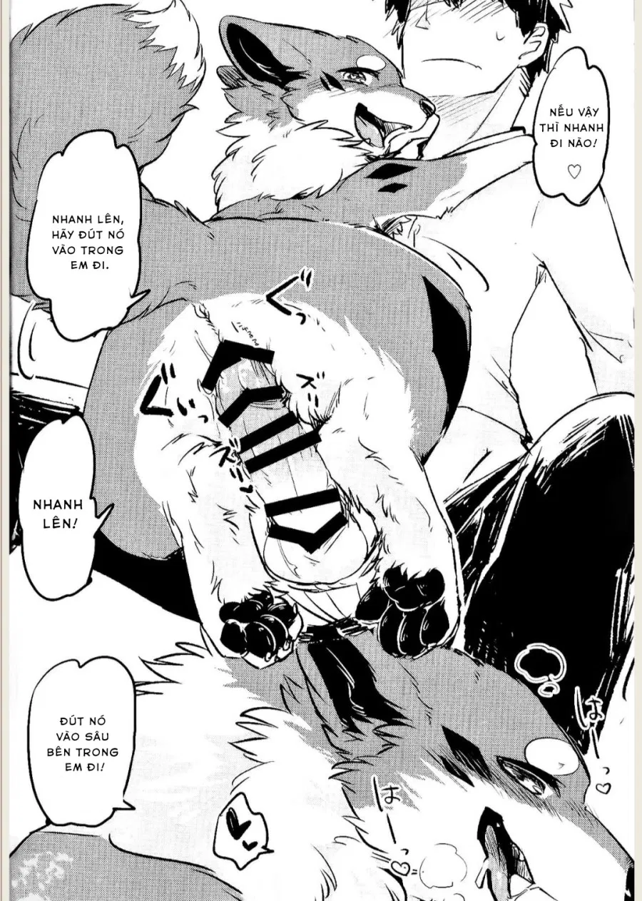 Kitsuneinu ni Nomaso 