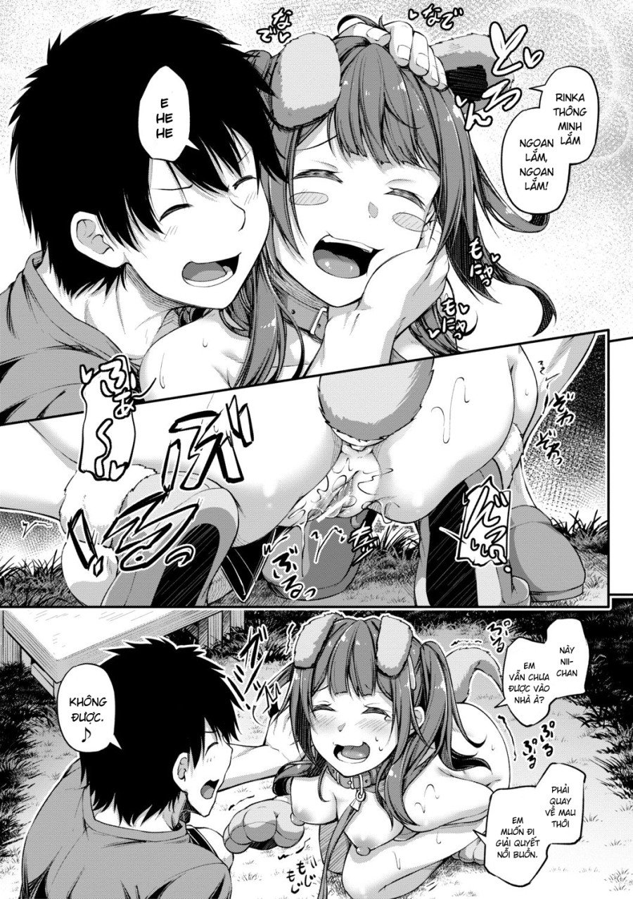 Nếu thua Onii-chan, bọn tôi sẽ làm tình! ~ Oẳn tù tì 