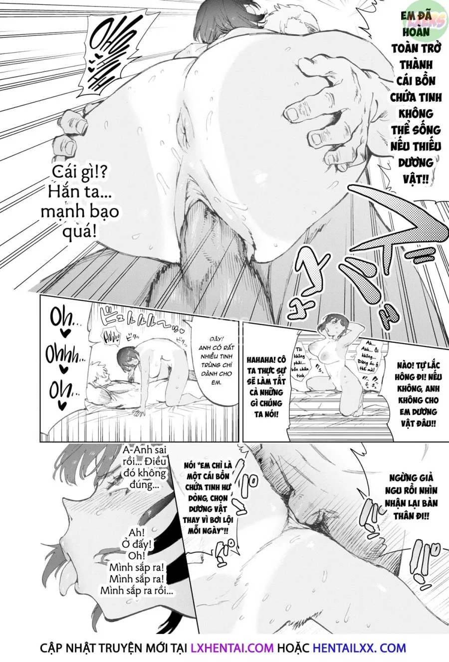 Những giấc mơ kỳ diệu 