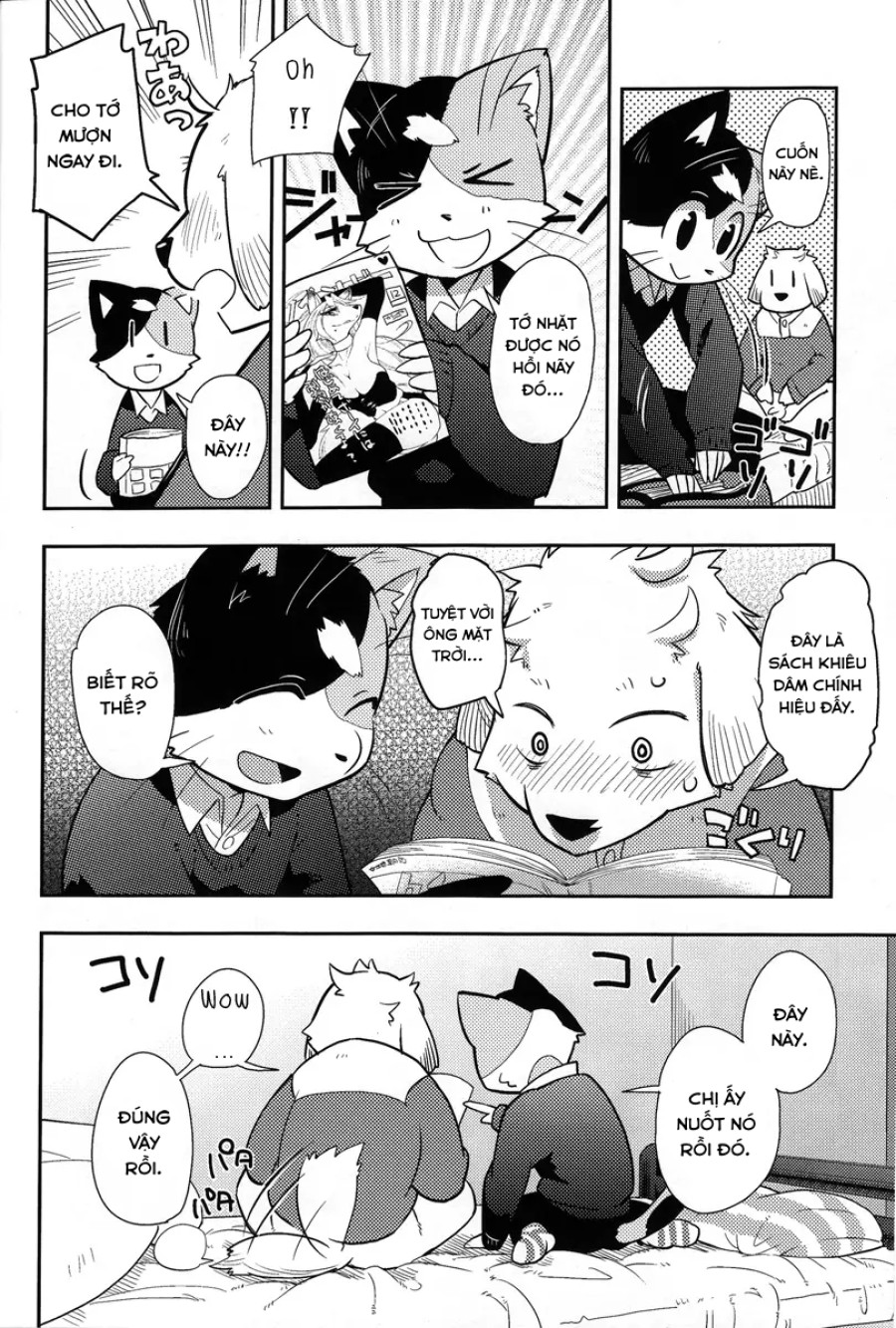 Harubon 9 