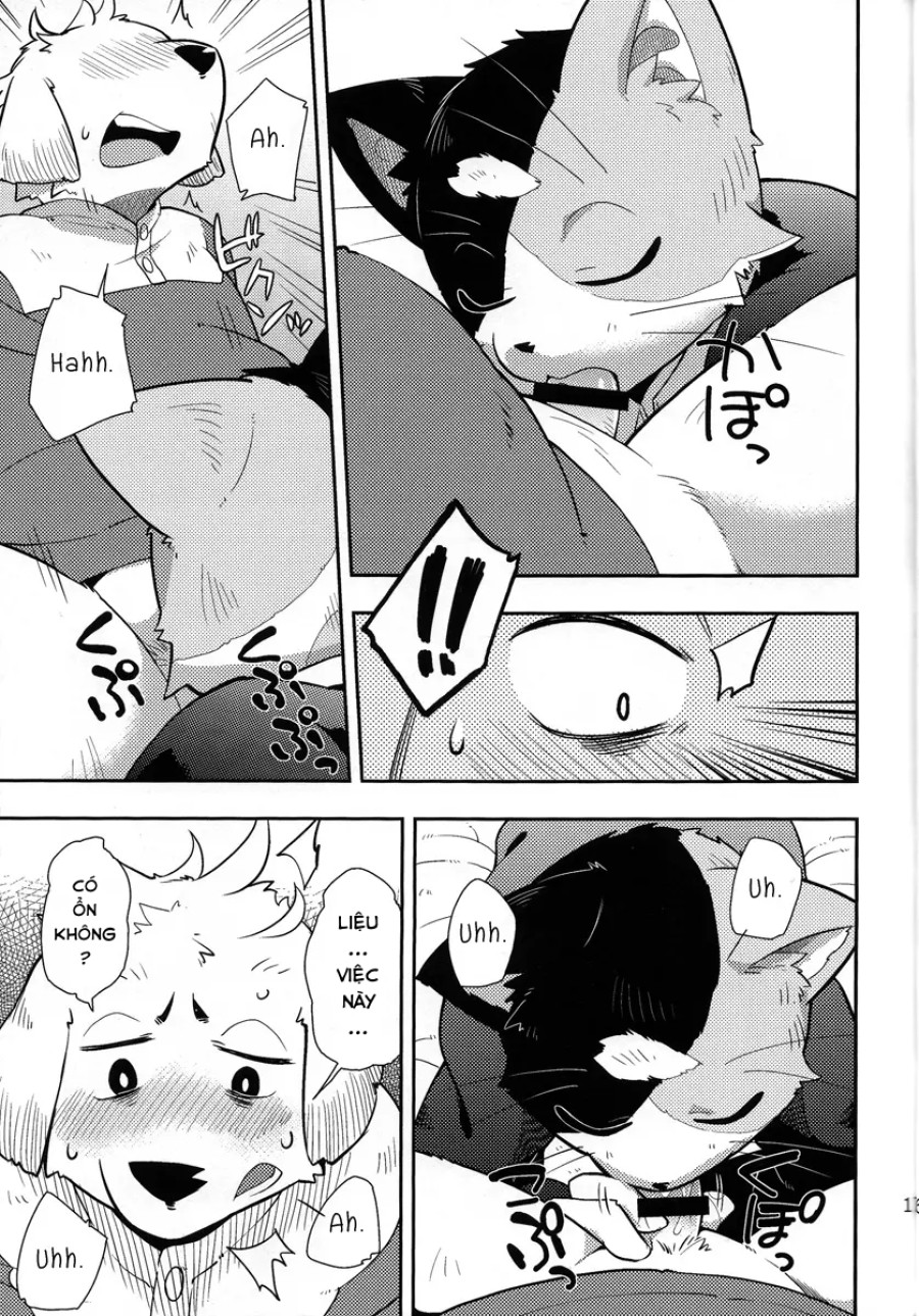 Harubon 9 