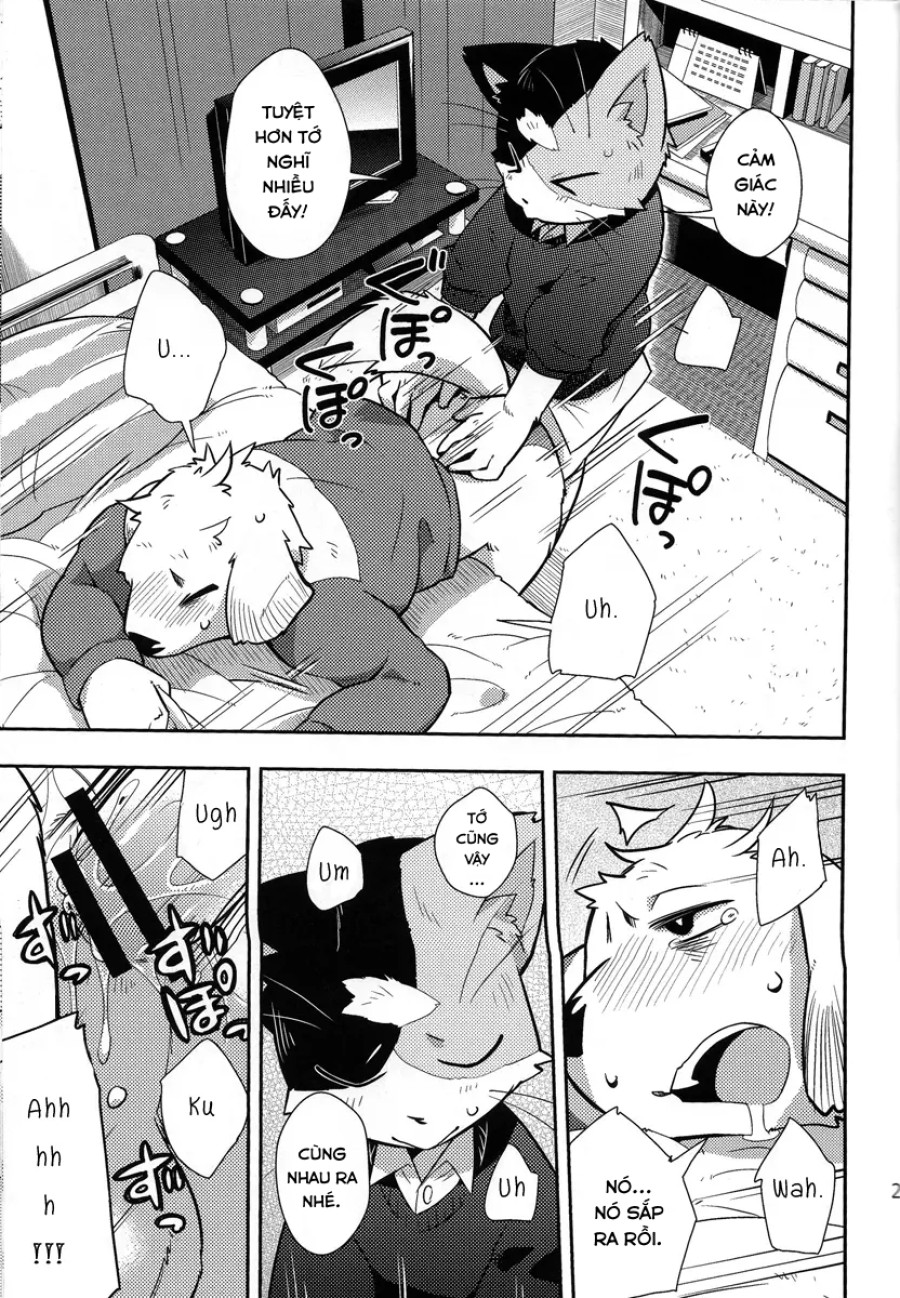 Harubon 9 