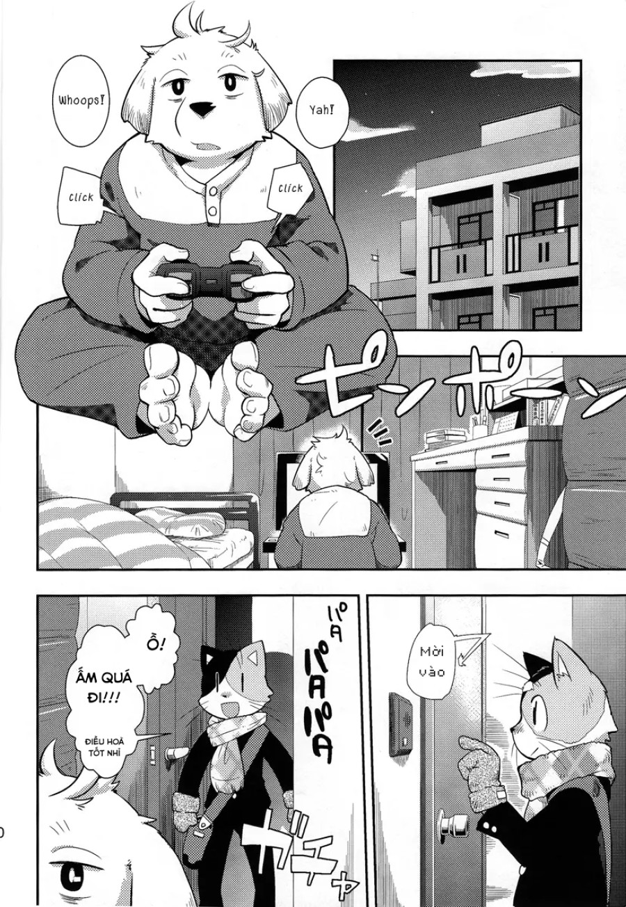 Harubon 9 