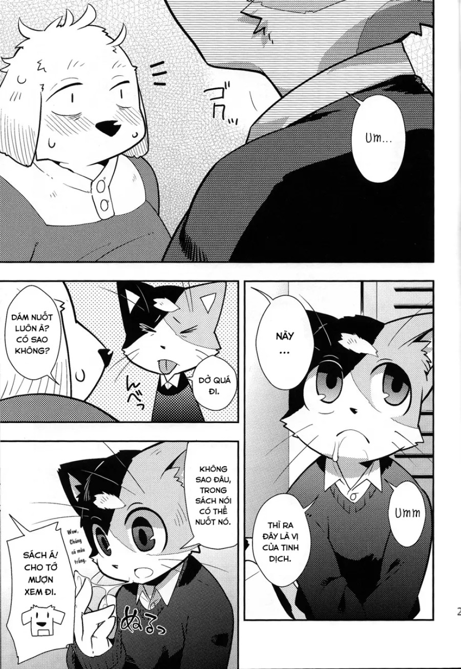 Harubon 9 