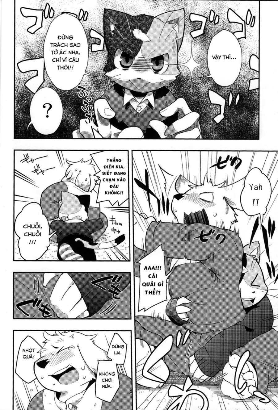 Harubon 9 