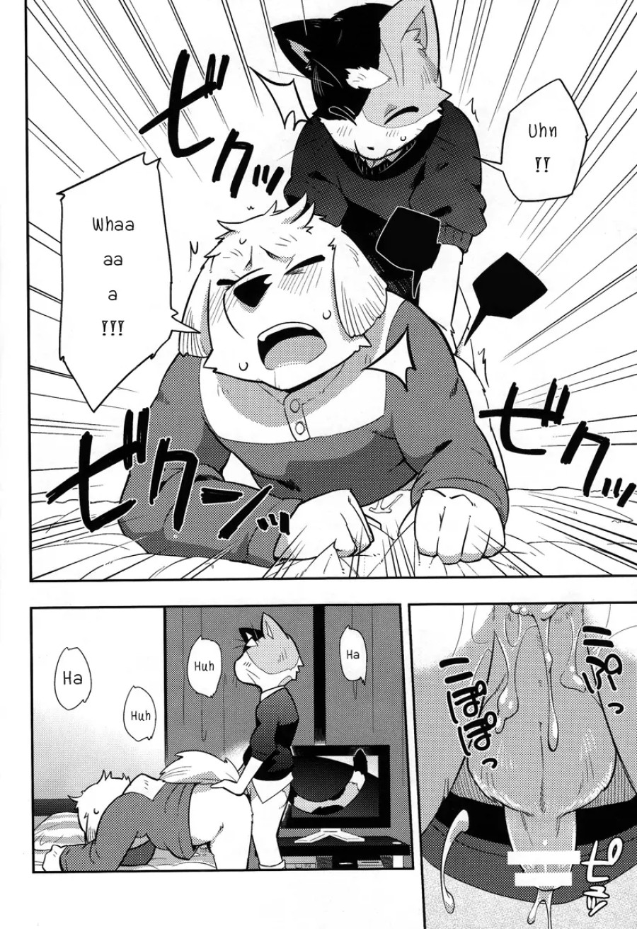 Harubon 9 