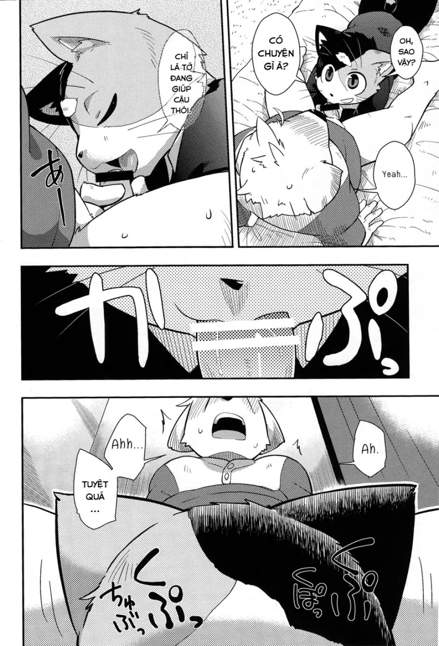 Harubon 9 