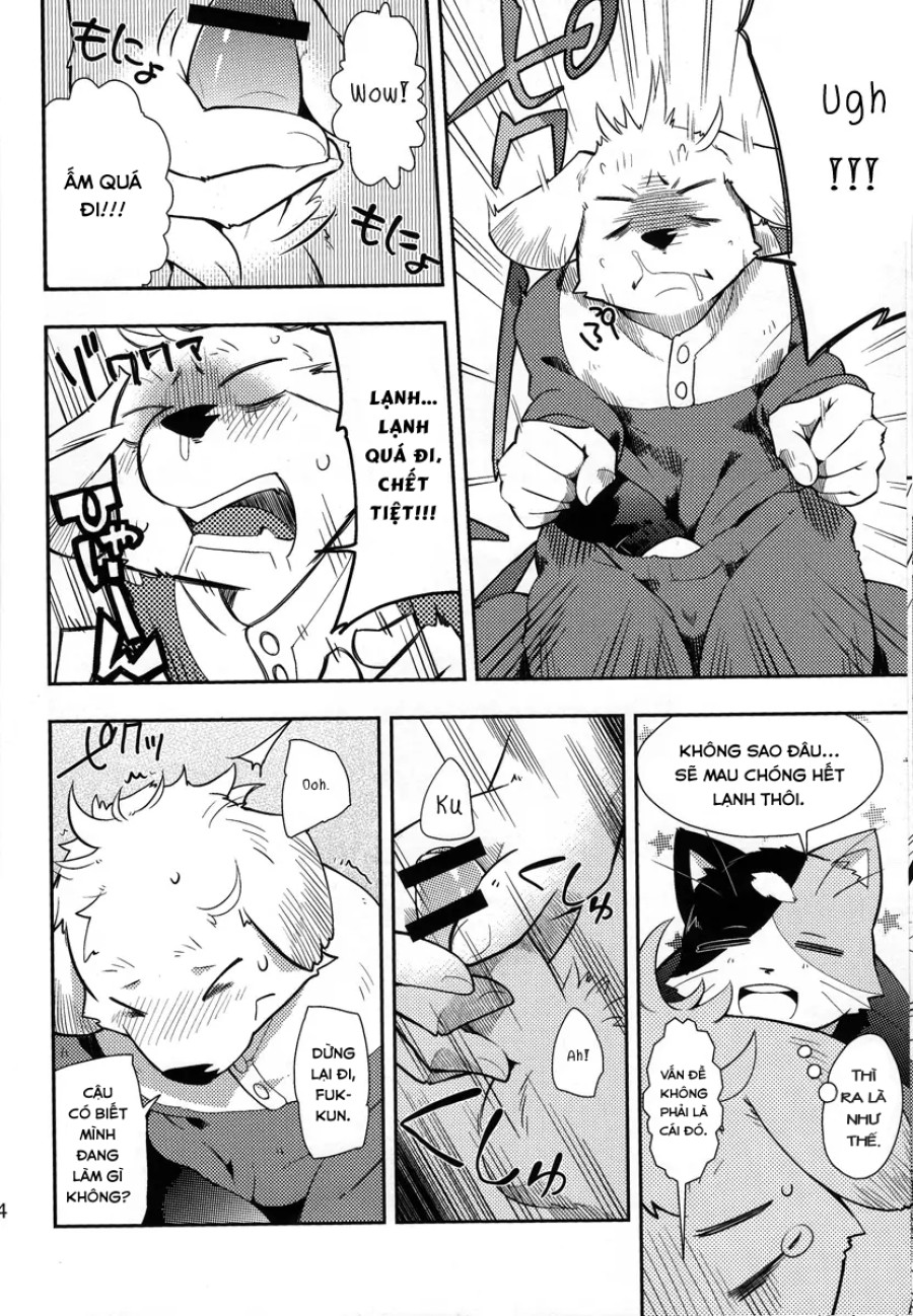 Harubon 9 