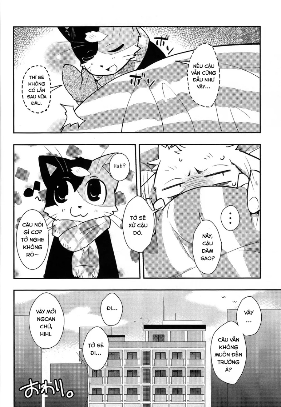 Harubon 9 