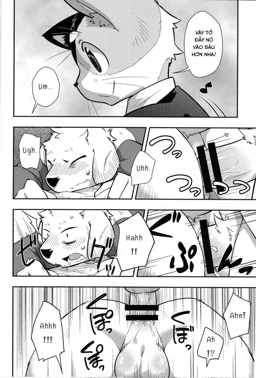 Harubon 9 