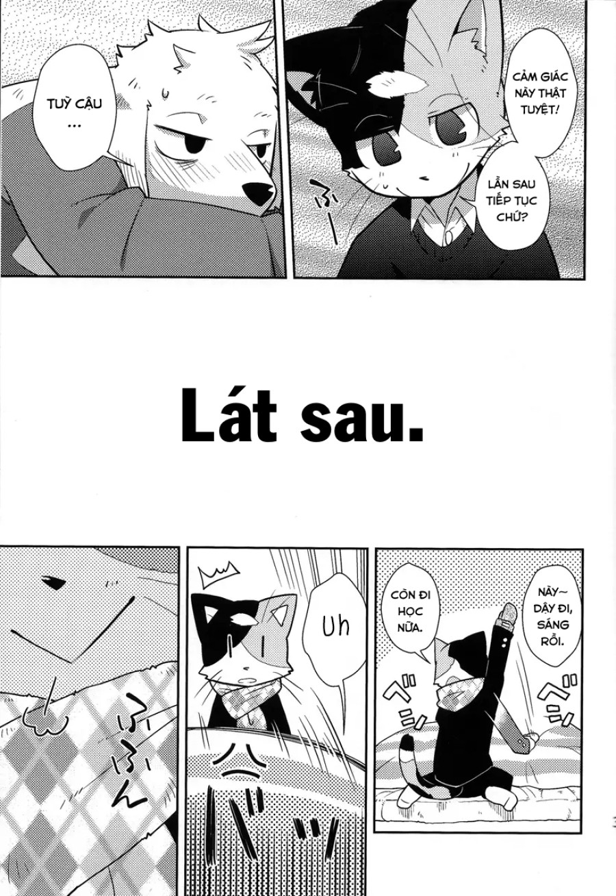 Harubon 9 