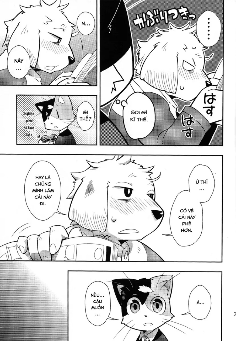 Harubon 9 