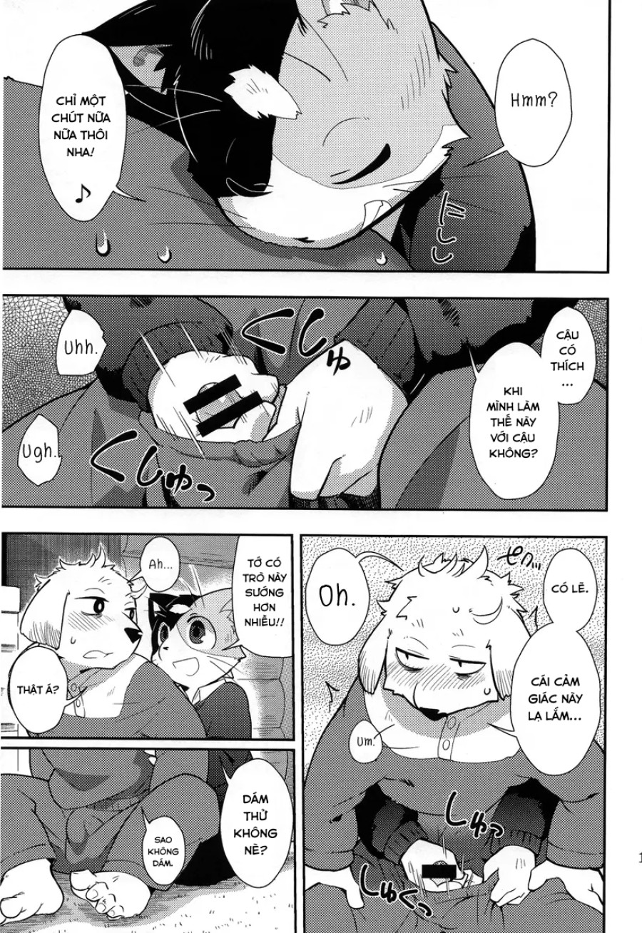 Harubon 9 