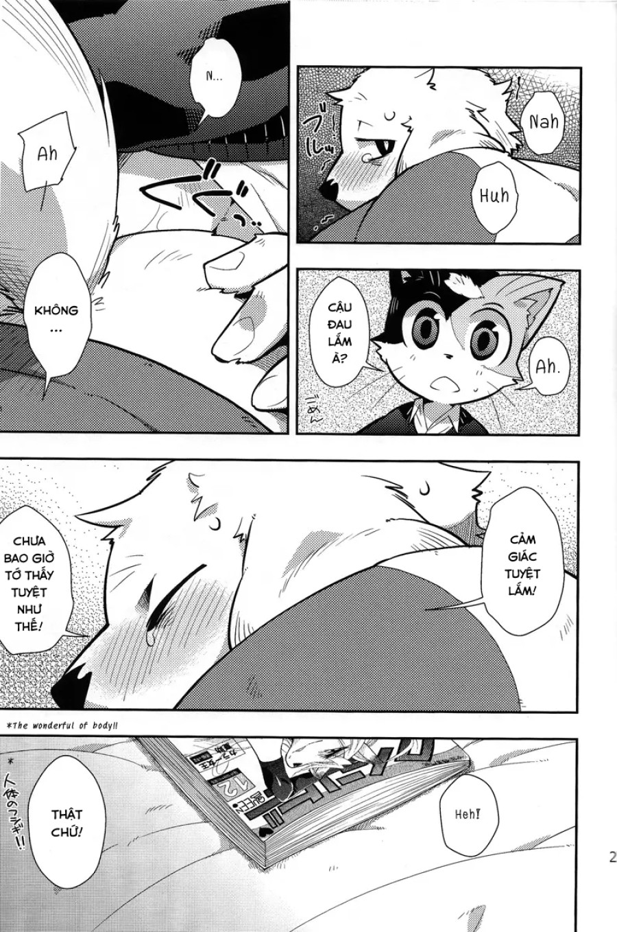 Harubon 9 