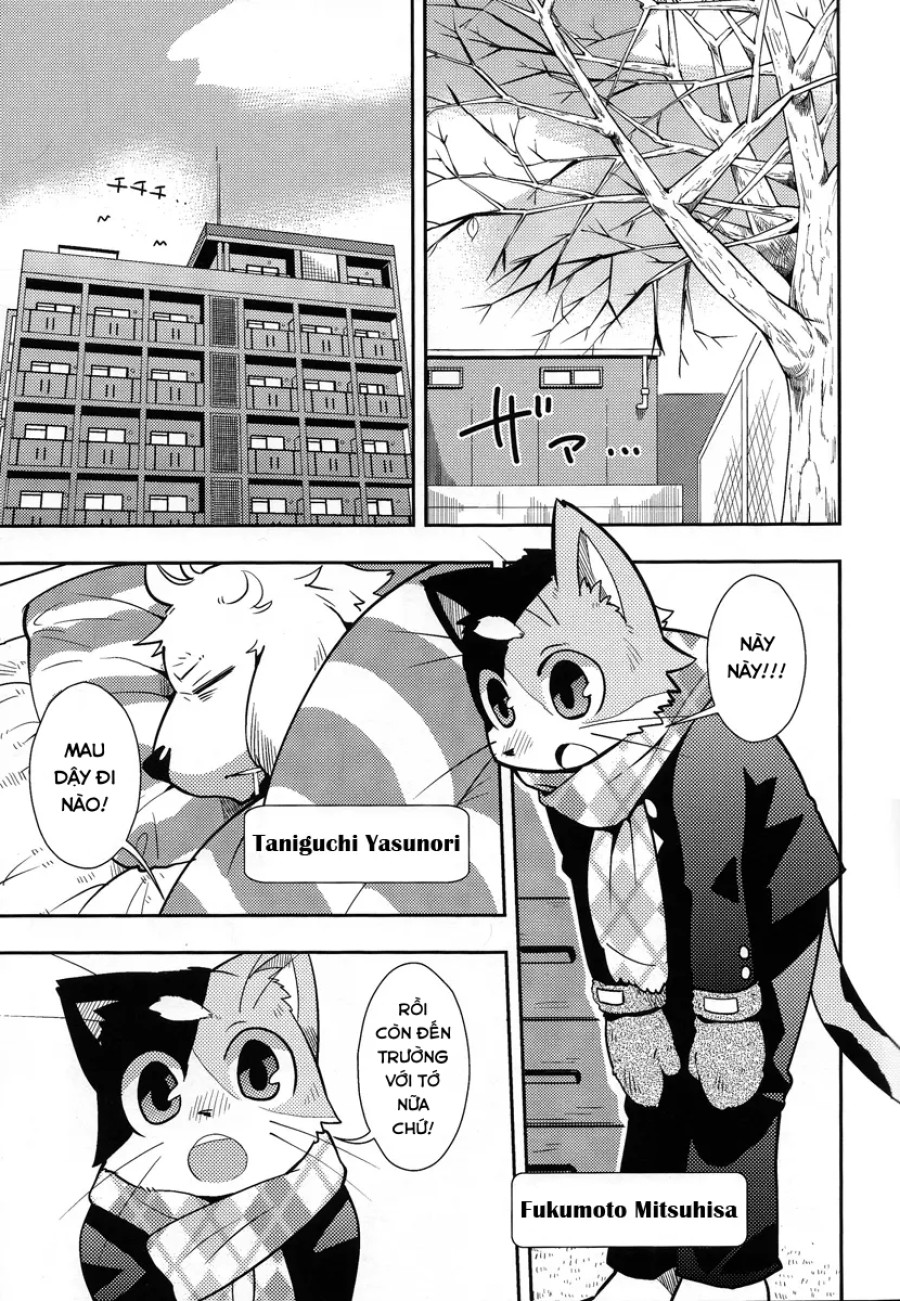 Harubon 9 