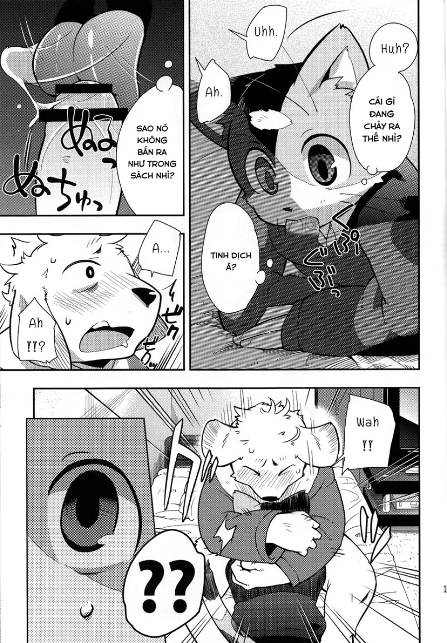 Harubon 9 