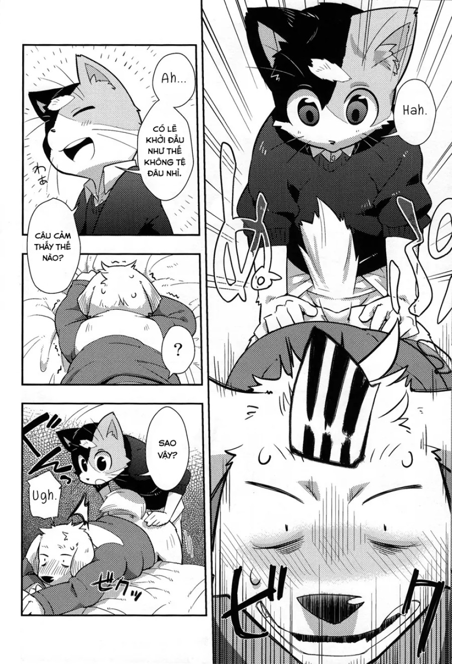 Harubon 9 