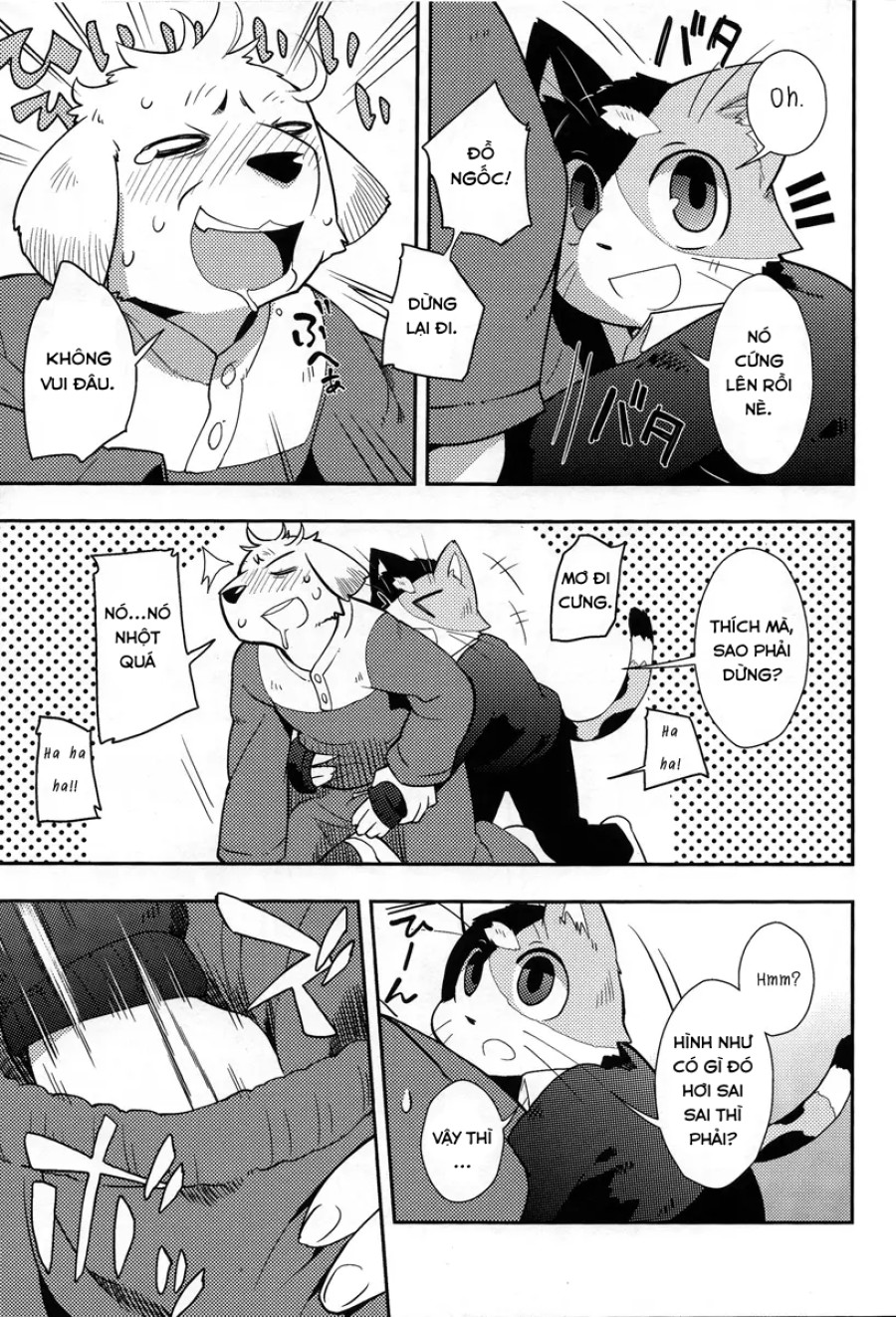 Harubon 9 