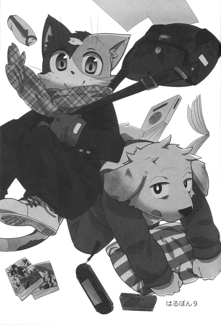 Harubon 9 