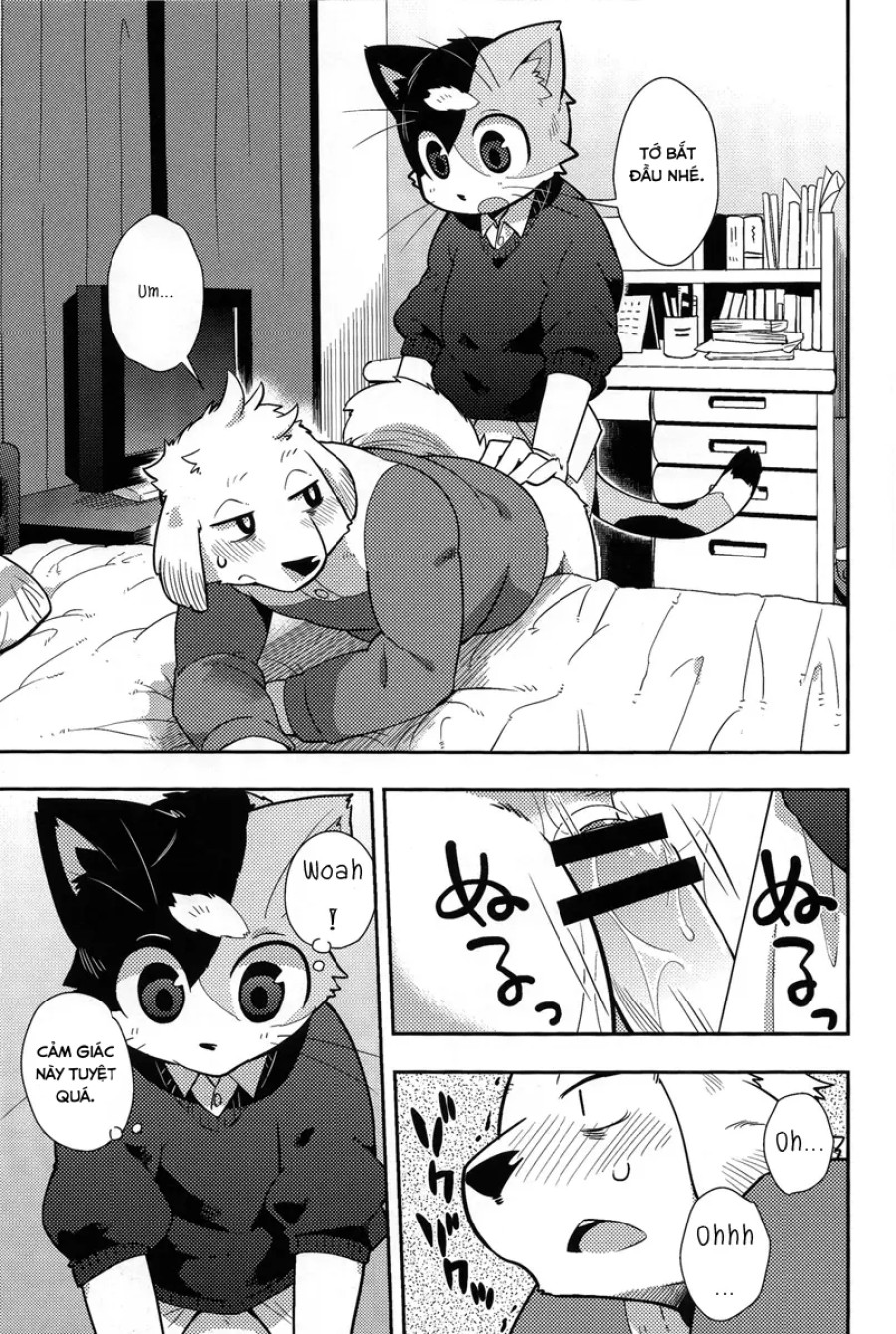 Harubon 9 