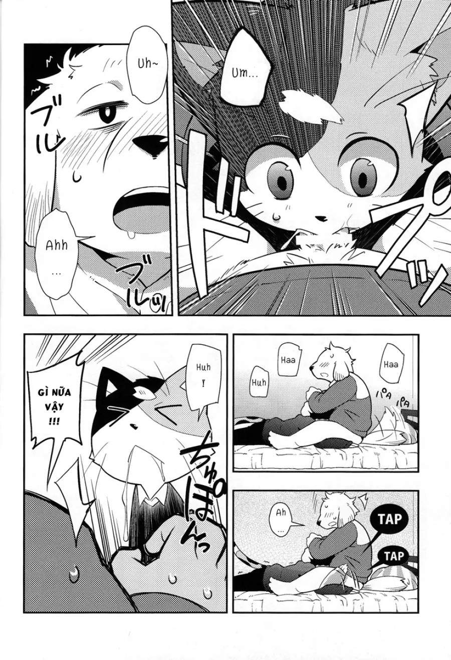 Harubon 9 