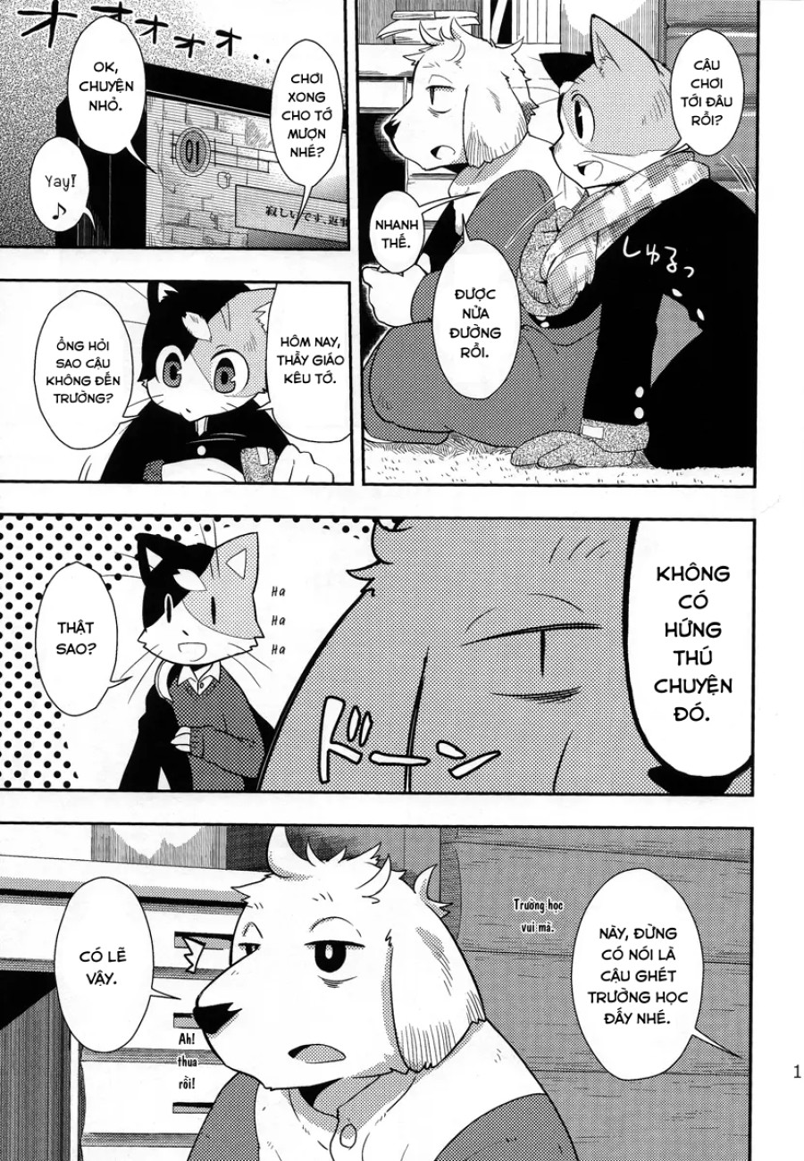 Harubon 9 