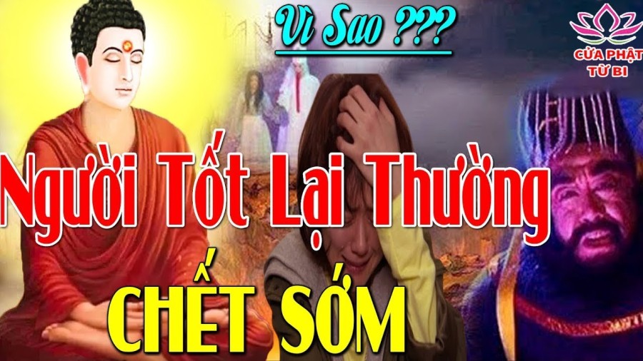 Tifa cùng những người bạn mới 