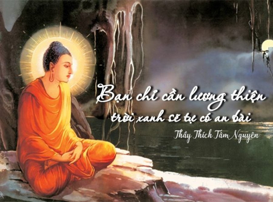Sự tha hoá của người mẹ 