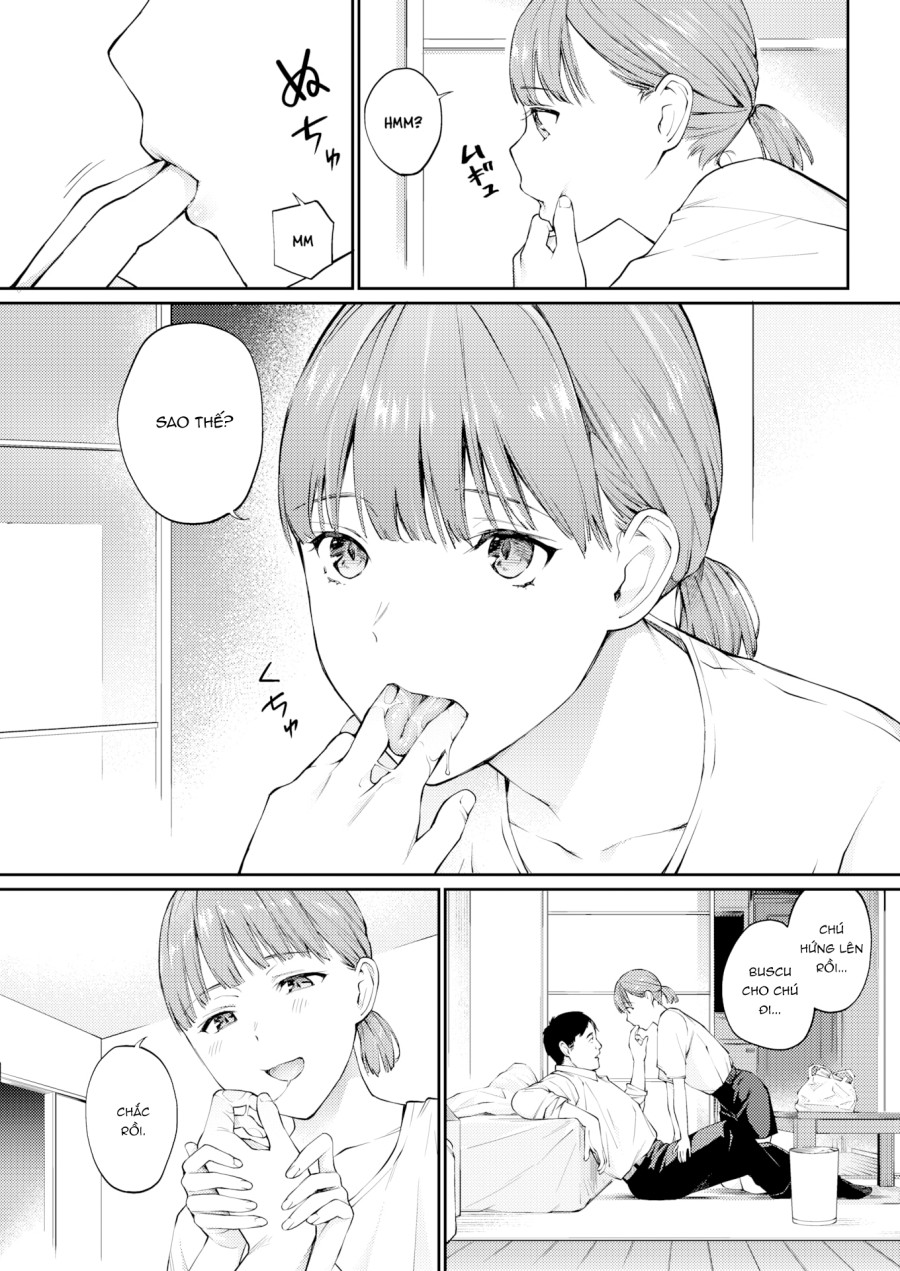 Nàng mèo đi lạc 