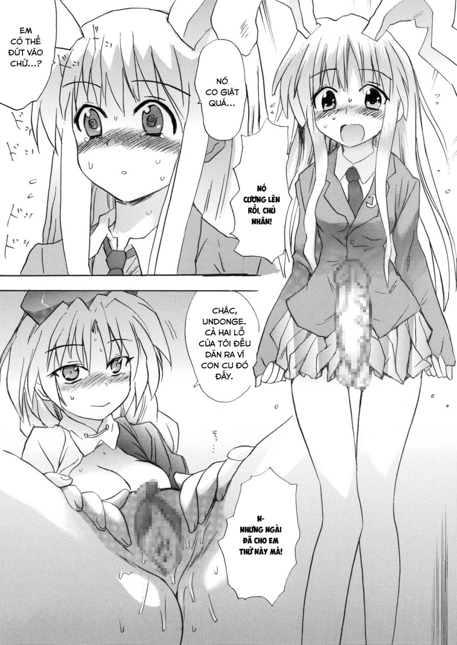 Hourai Ninshin 