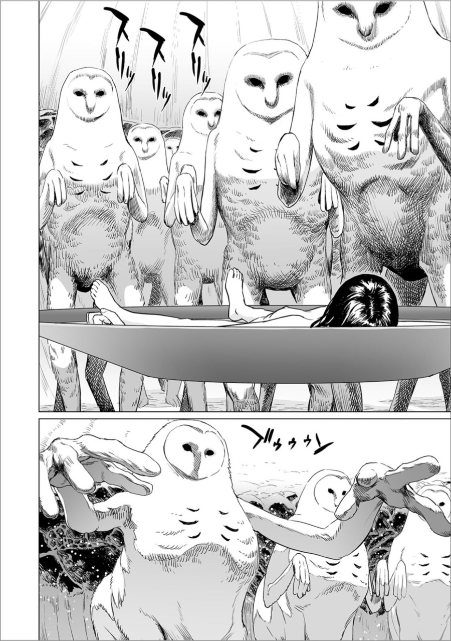 Fukurou no Yubi 