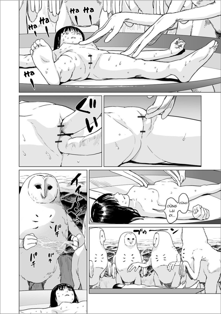 Fukurou no Yubi 