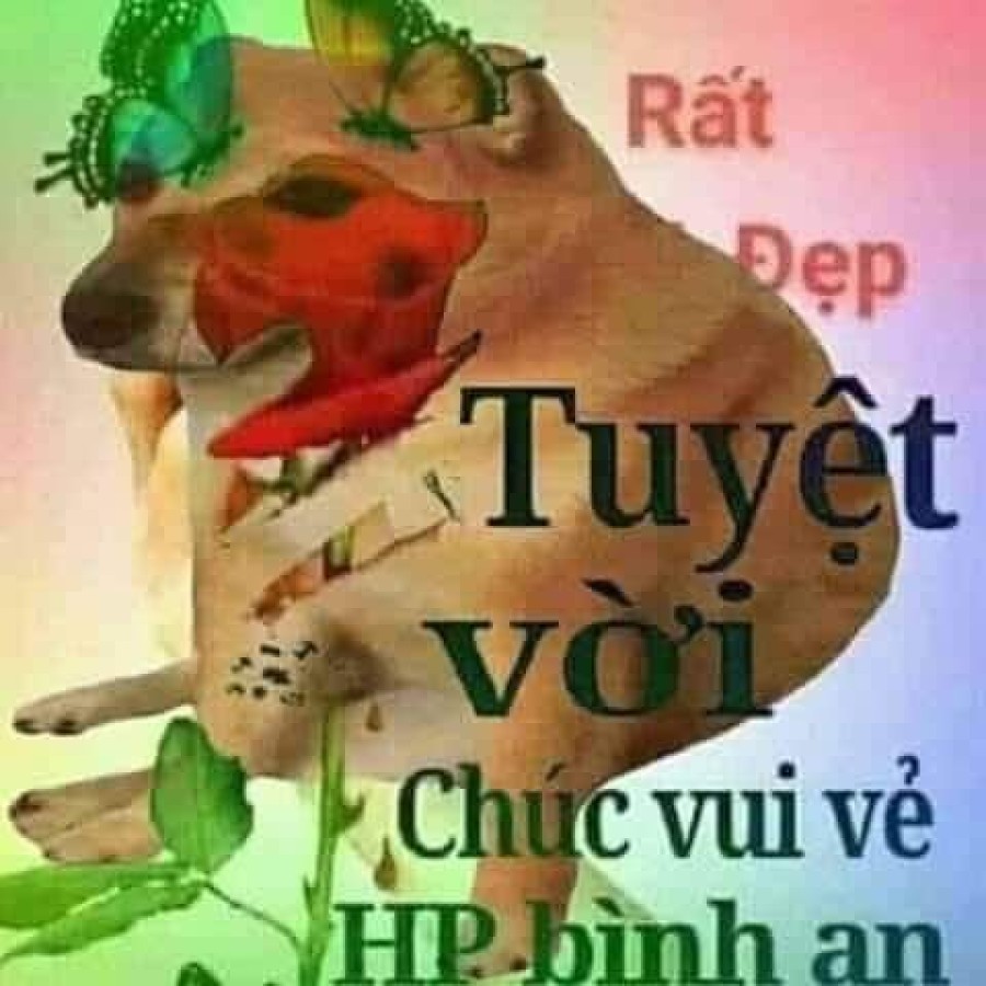 Buổi điều trị kích dục sinh sản 