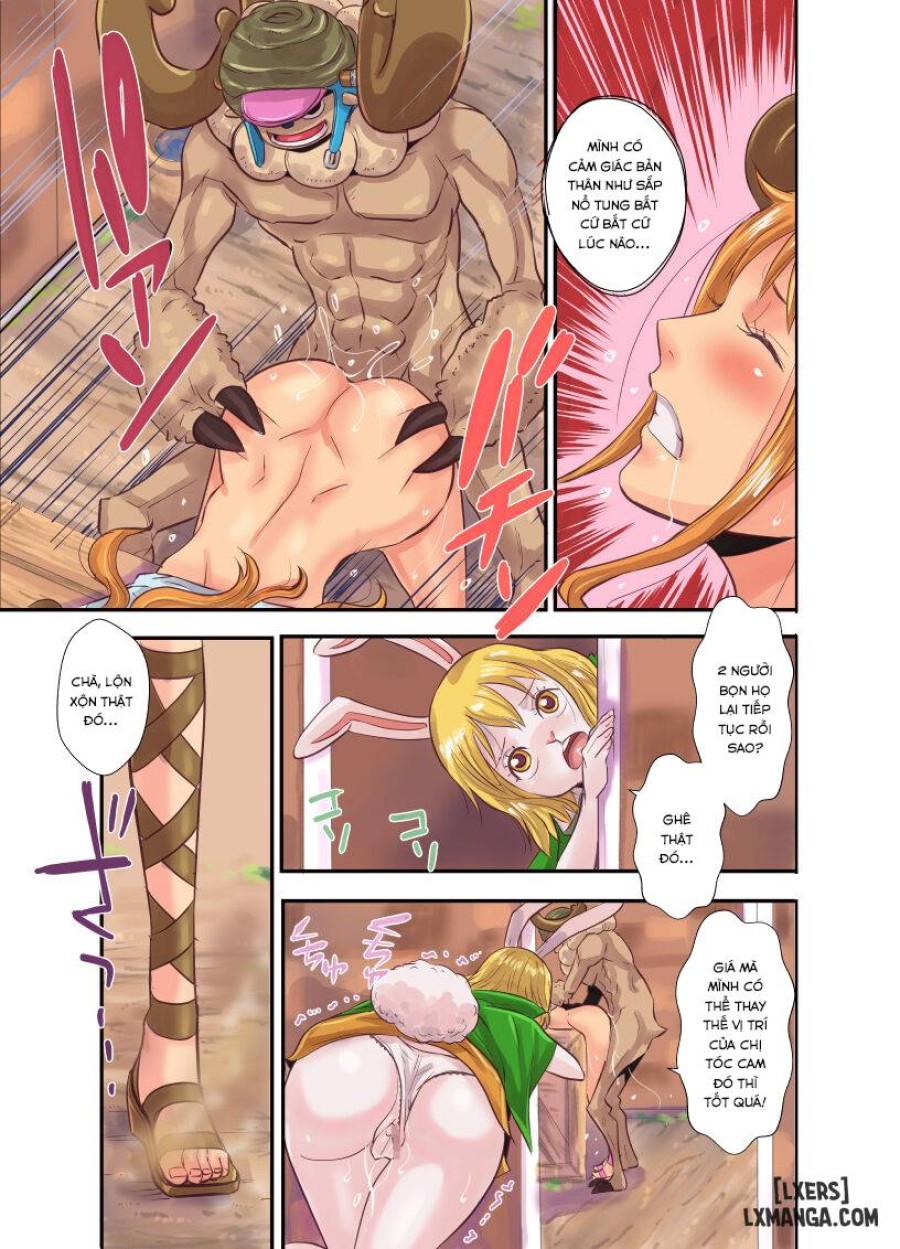 CHOP STICK 3 (One Piece) 