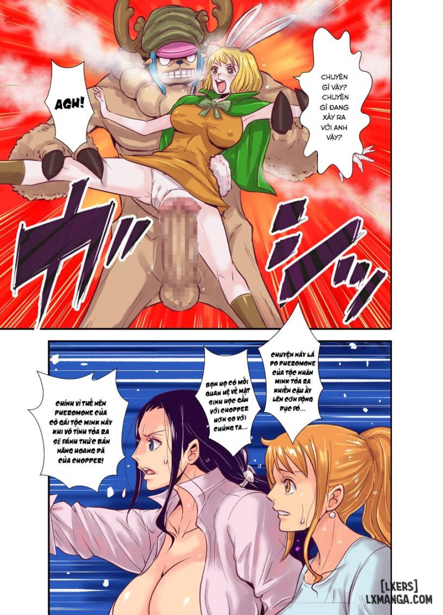 CHOP STICK 3 (One Piece) 