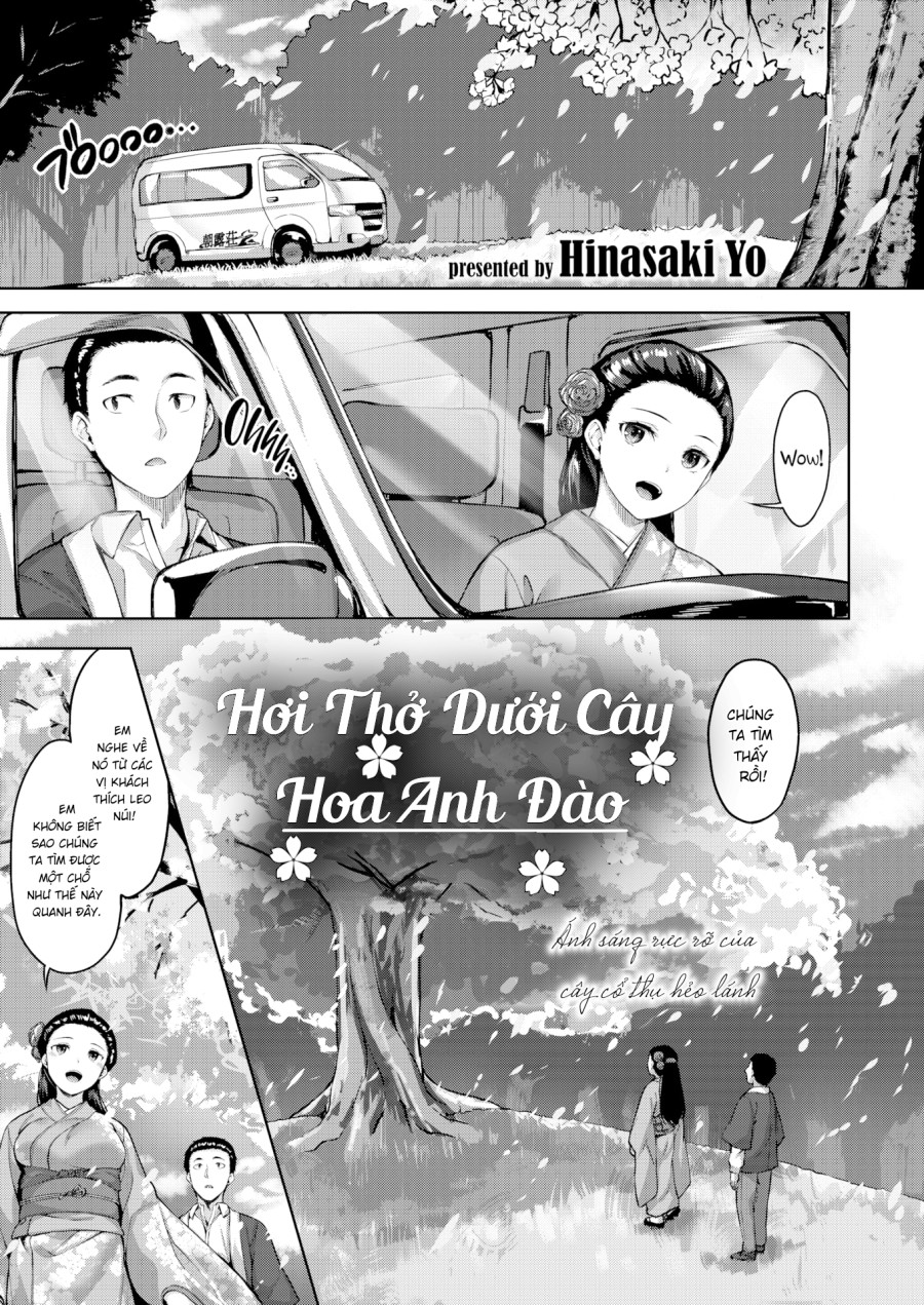Hơi thở dưới cây hoa anh đào 