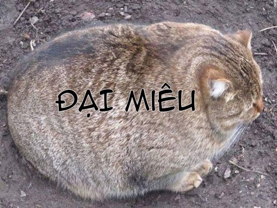 Lần Đầu Của Cô Gái Nhút Nhát Hay Bị Bắt Nạt Ấy 
