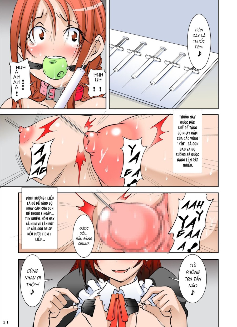 Shishi Setsudan Shoujo Goumon Gyakutai-kan no Maid-san 