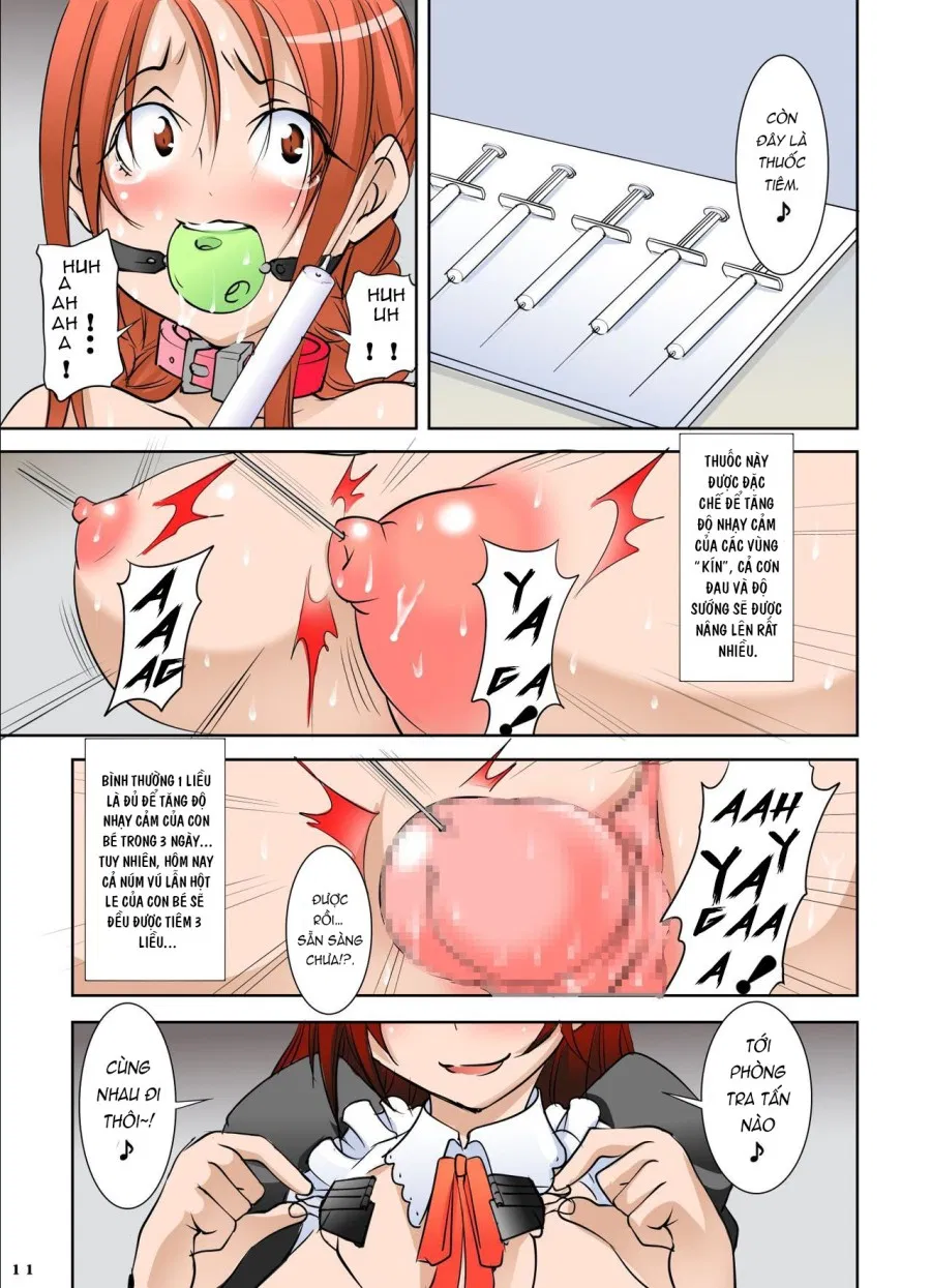 Shishi Setsudan Shoujo Goumon Gyakutai-kan no Maid-san 