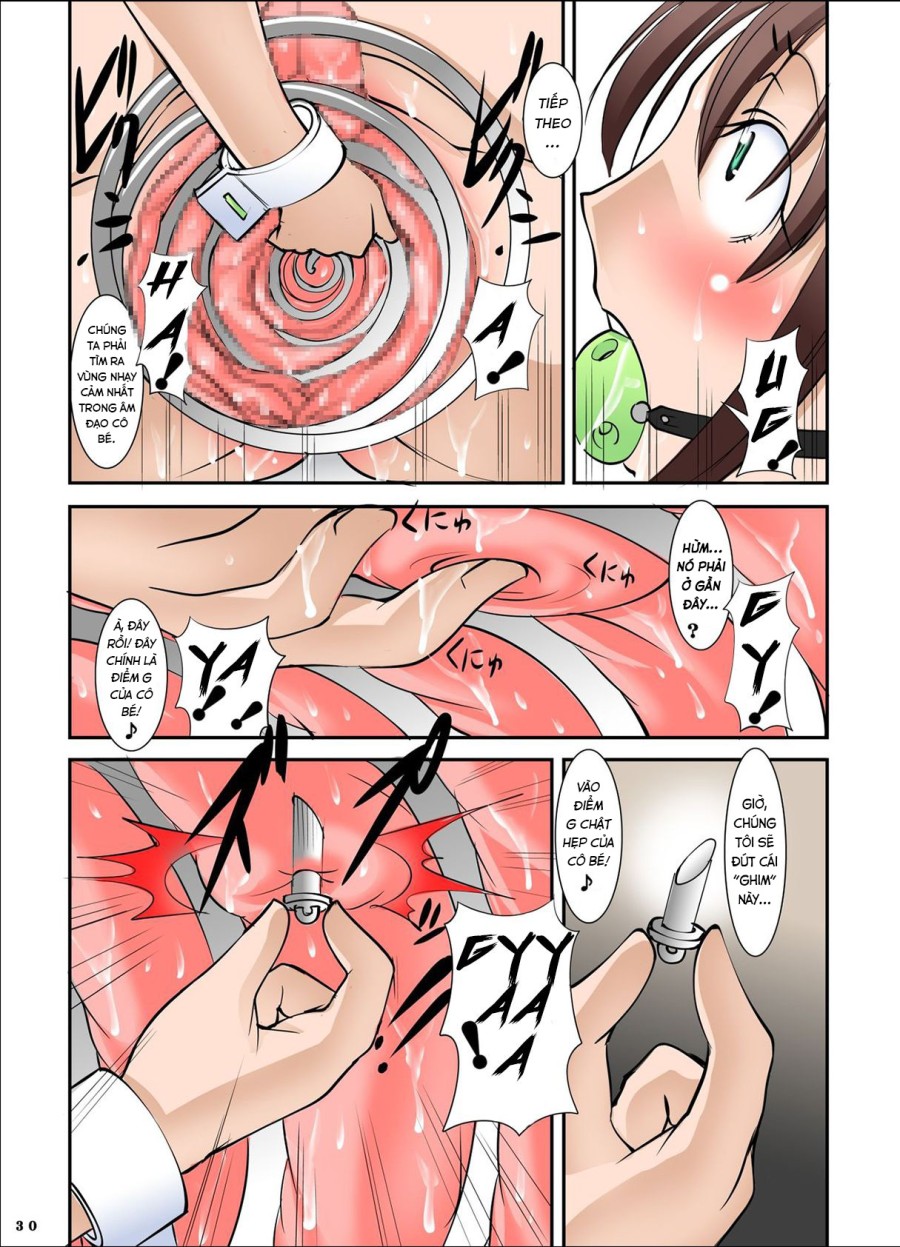 Shishi Setsudan Shoujo Goumon Gyakutai-kan no Maid-san 