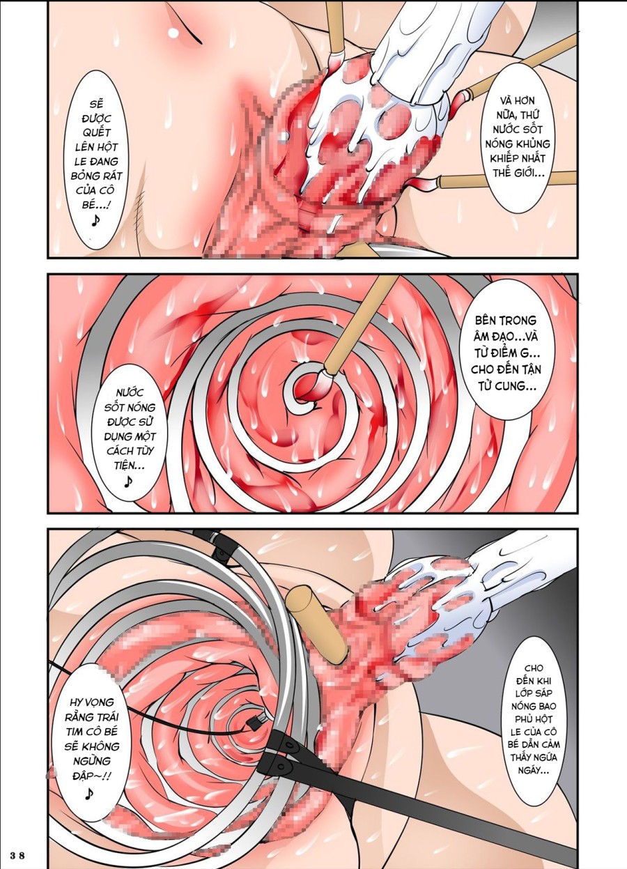Shishi Setsudan Shoujo Goumon Gyakutai-kan no Maid-san 
