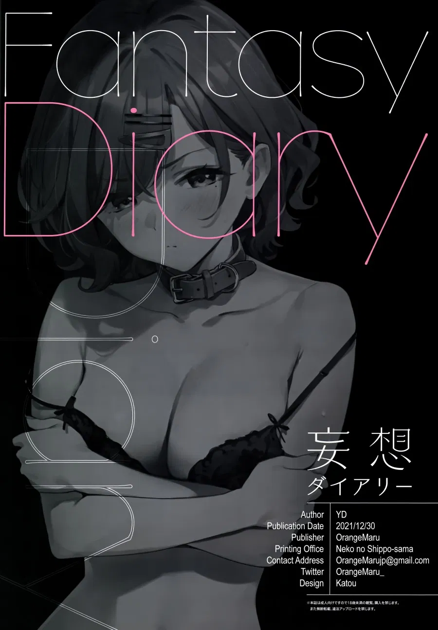 FANTASY DIARY 