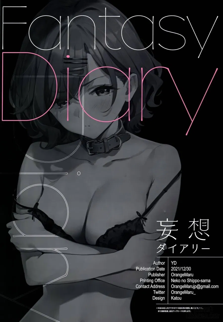 FANTASY DIARY 