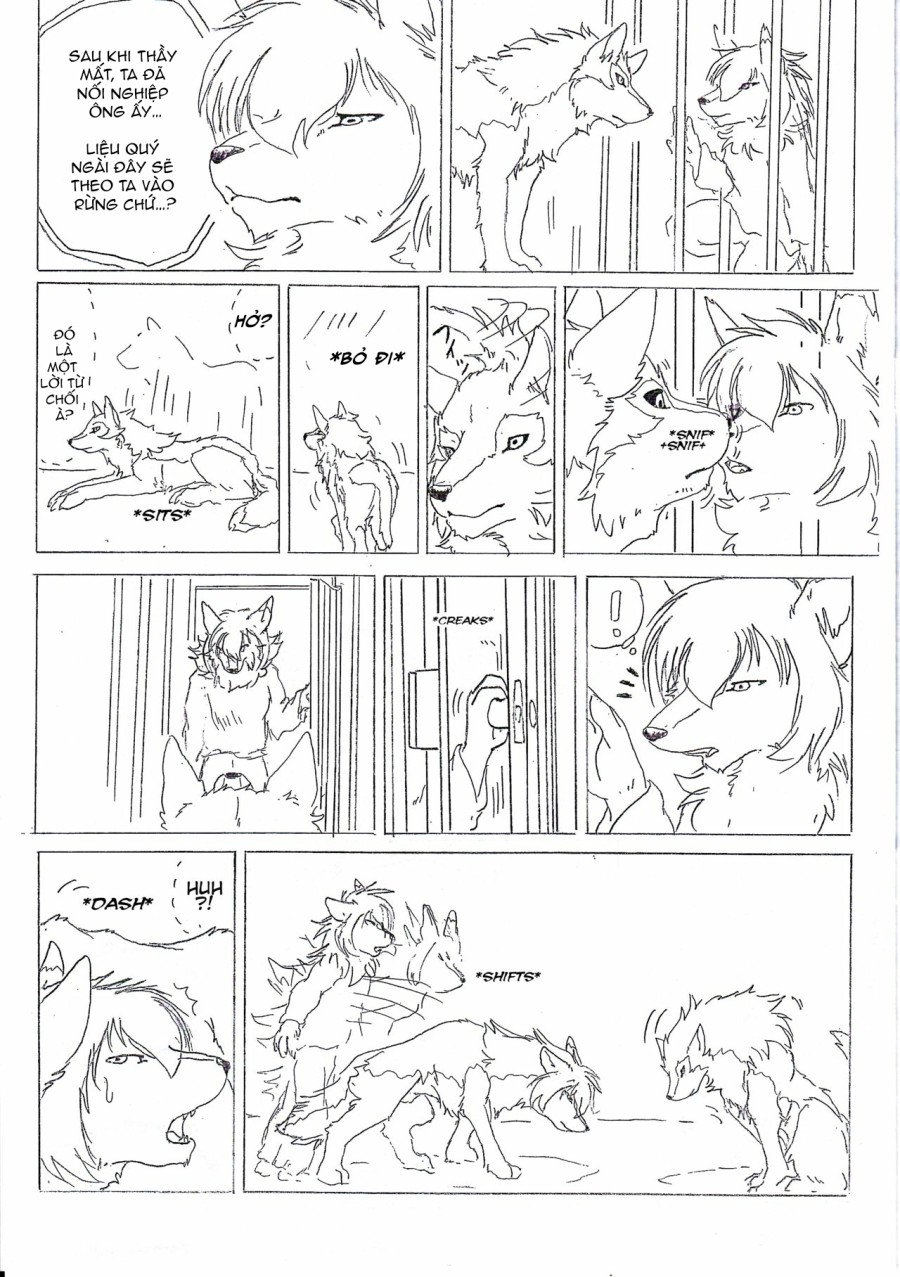 The love story of Ame and Mr Wolf 