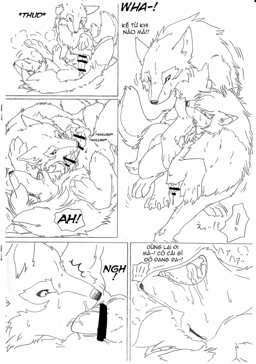 The love story of Ame and Mr Wolf 